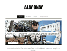 Tablet Screenshot of alayonay.com